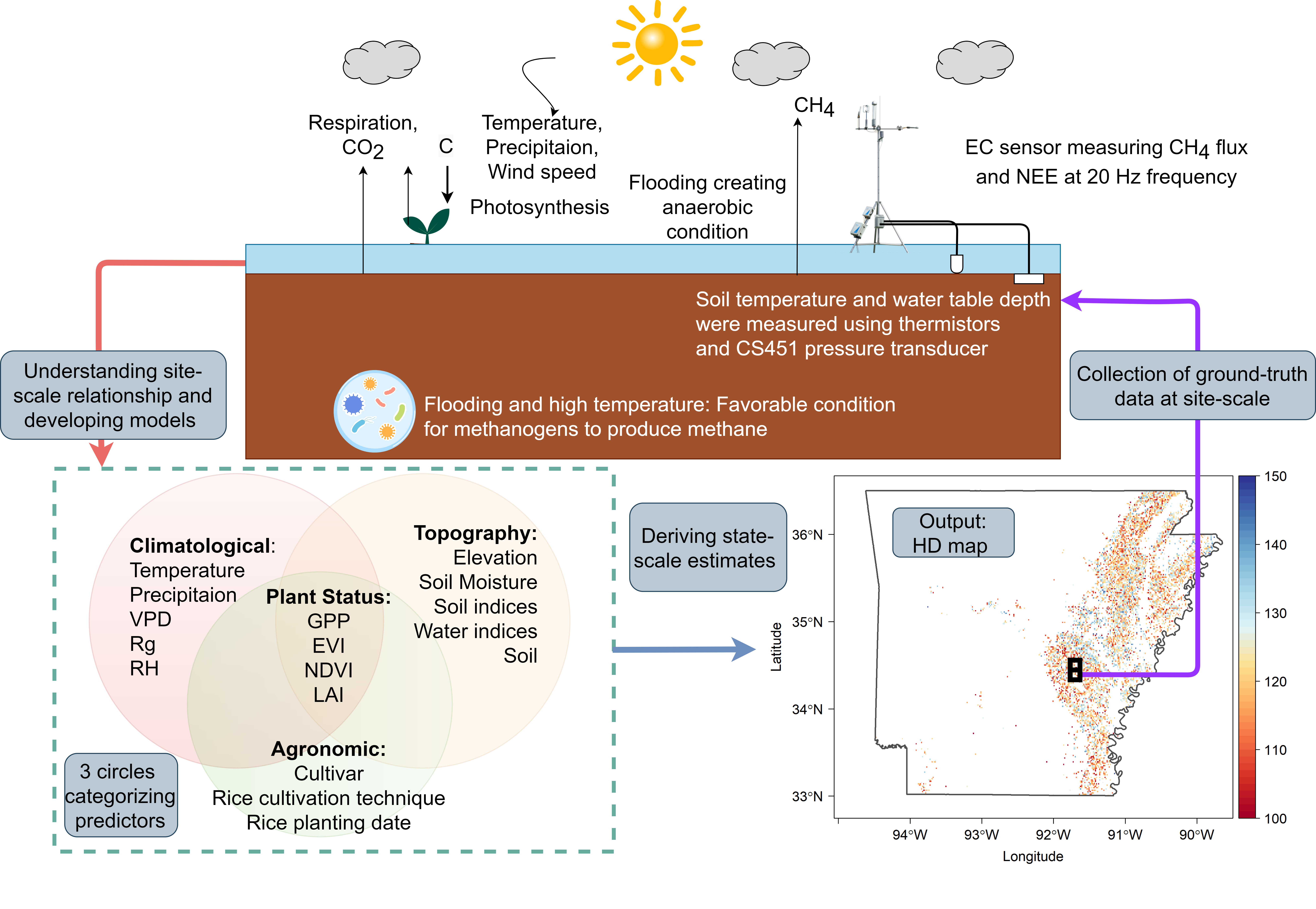 Conceptual Framework Site to State Scale